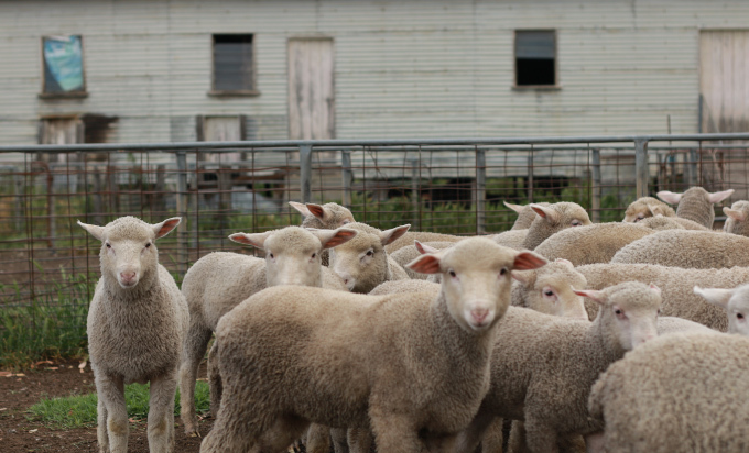 Avepoint ric australia case study image 01